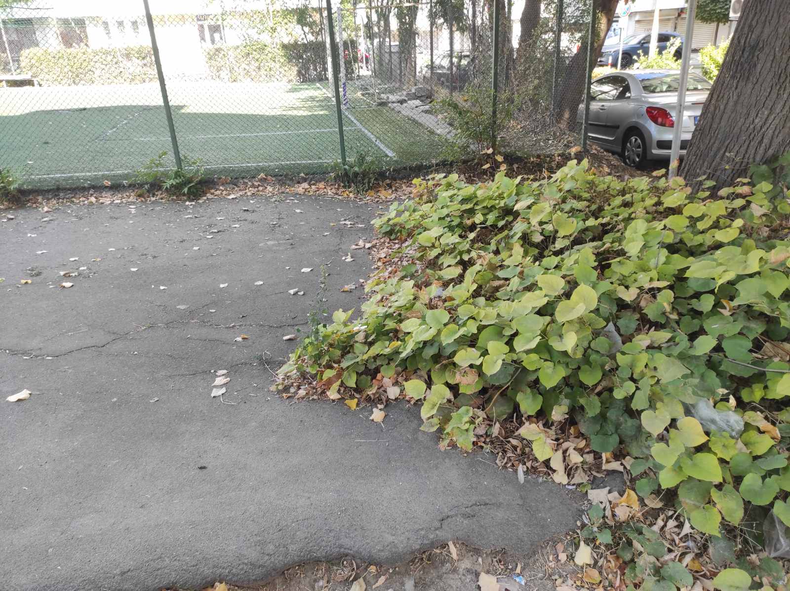 Детска площадка