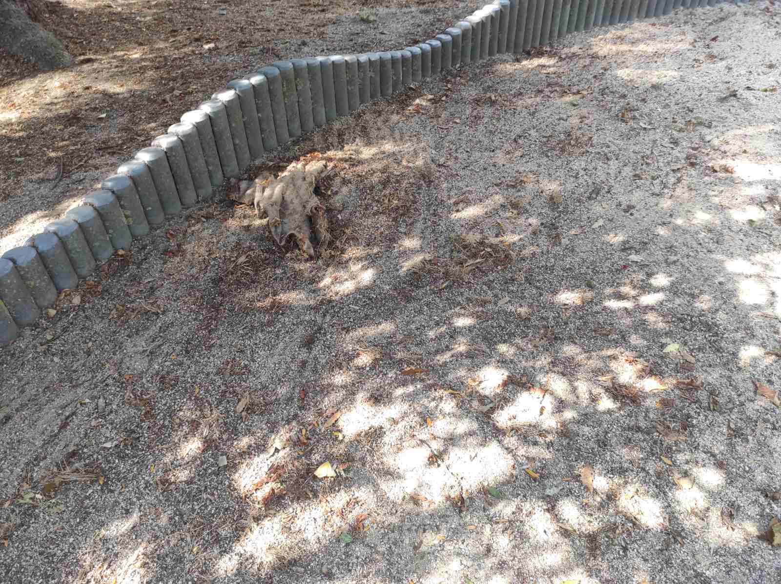 Детска площадка