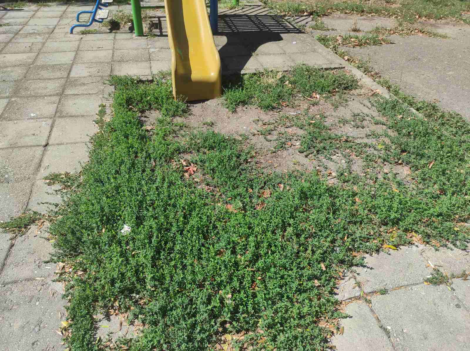 Детска площадка