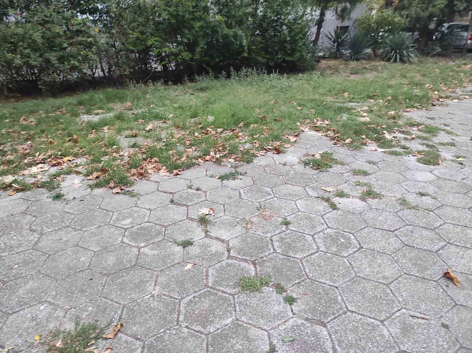 Детска площадка