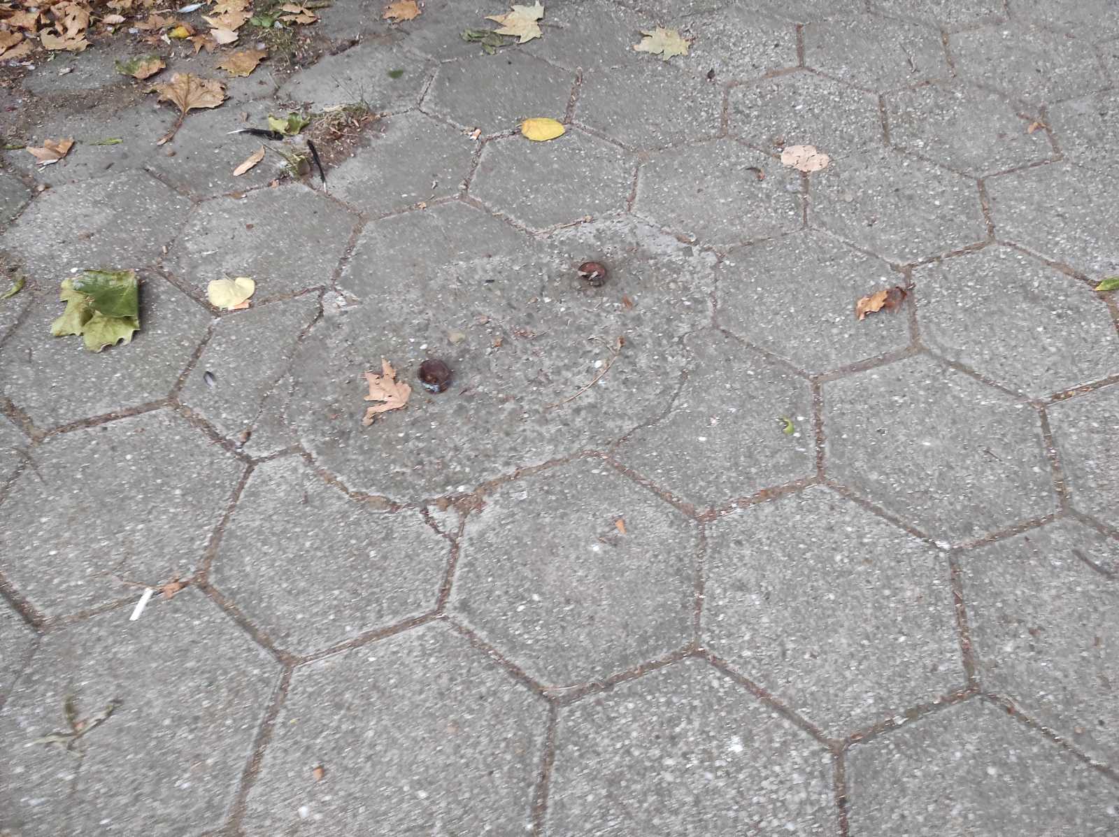 Детска площадка
