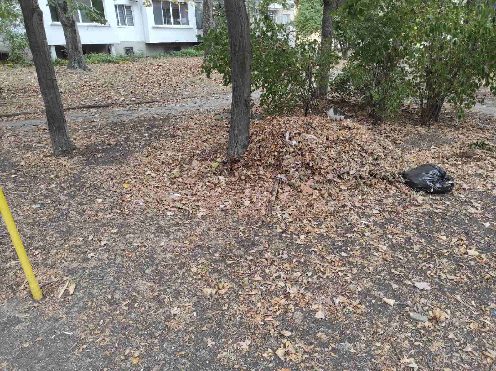 Детска площадка