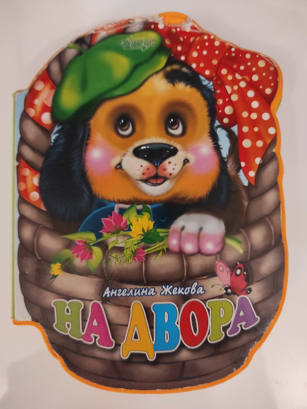 На двора